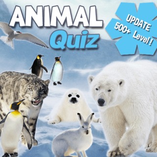 Animal Exam