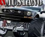 Crazy Mustang