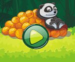 Panda and Oranges